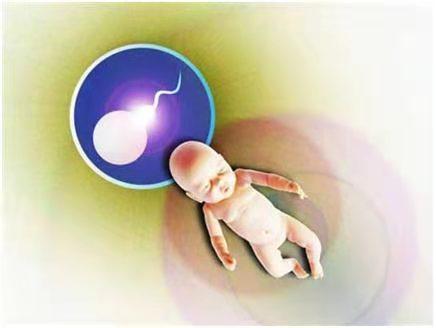 沪上生殖医学中心
